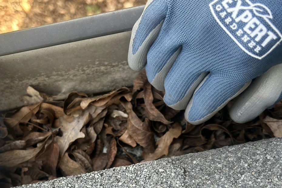 Gutter Cleaning Bixby OK